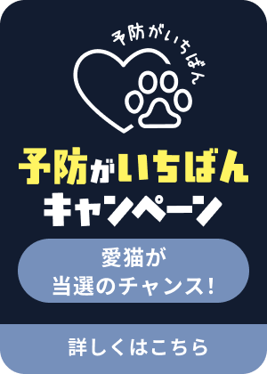 予防がいちばんキャンペーン 愛猫が当選のチャンス！詳しくはこちら