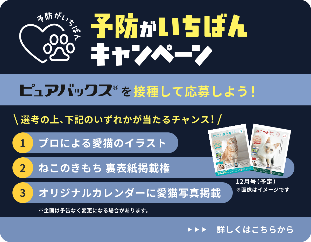 予防がいちばんキャンペーン ピュアバックス®を接種して応募しよう！ 選考の上、下記のいずれかが当たるチャンス！ 1 プロによる愛猫のイラスト 2 ねこのきもち 裏表紙掲載権 3 オリジナルカレンダーに愛猫写真掲載 ※企画は予告なく変更になる場合があります。2026年12月 ※画像はイメージです