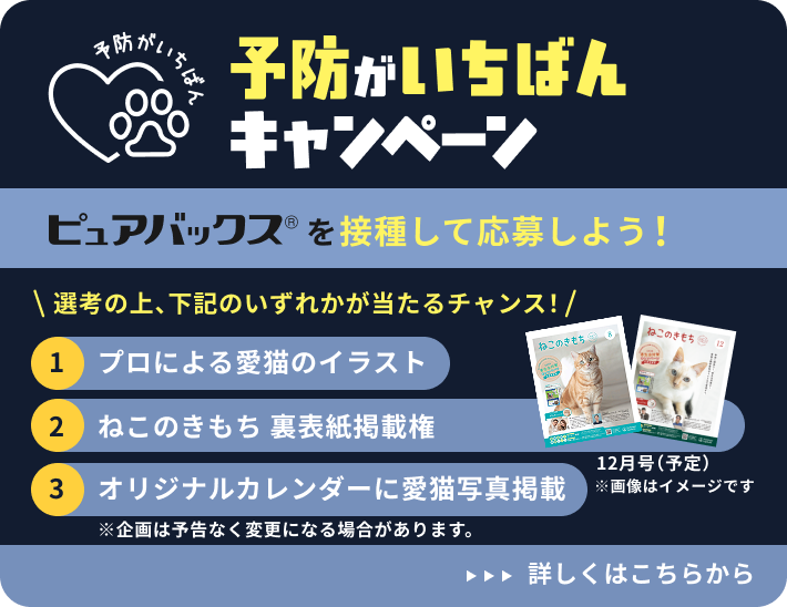 予防がいちばんキャンペーン ピュアバックス®を接種して応募しよう！ 選考の上、下記のいずれかが当たるチャンス！ 1 プロによる愛猫のイラスト 2 ねこのきもち 裏表紙掲載権 3 オリジナルカレンダーに愛猫写真掲載 ※企画は予告なく変更になる場合があります。2026年12月 ※画像はイメージです
