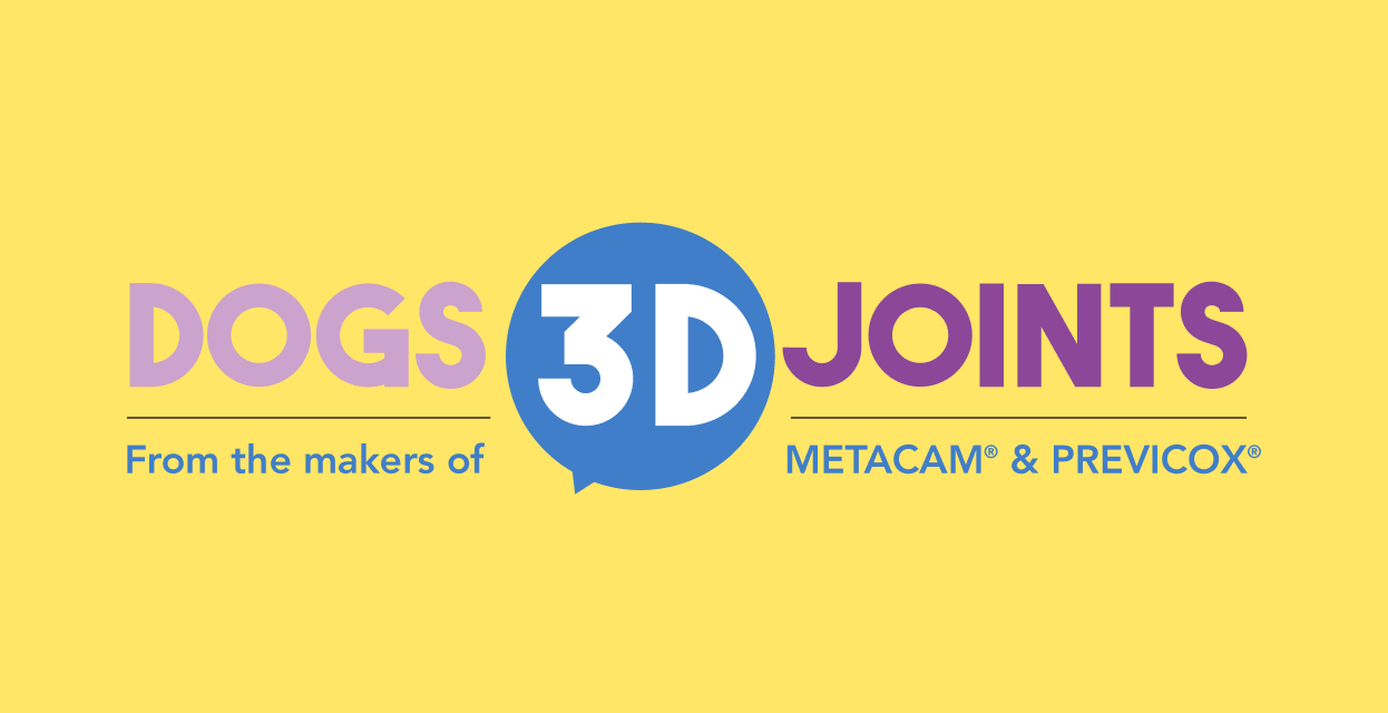 DOCS 3D JOINTS