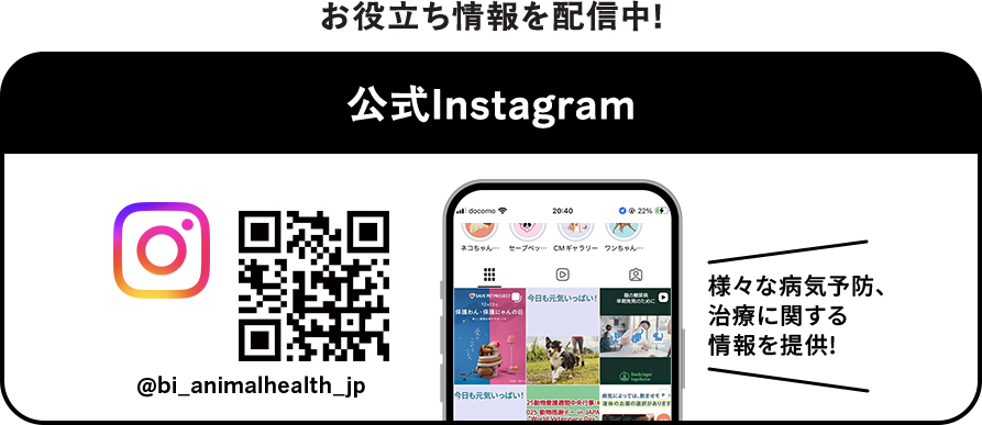 お役立ち情報を配信中！公式Instagram @bi_animalhealth_jp 様々な病気予防、治療に関する情報を提供！