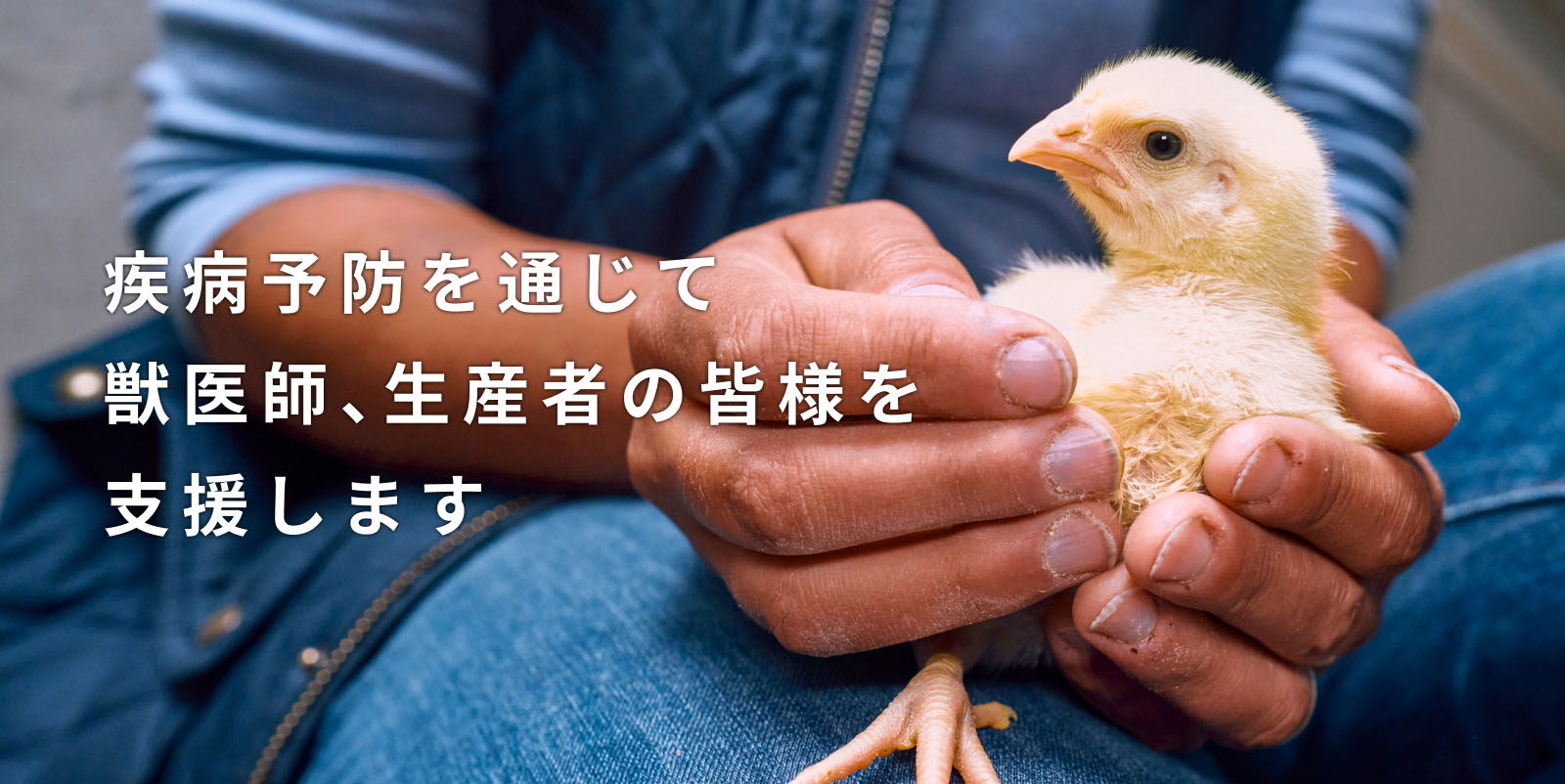 疾病予防と治療を通じて獣医師、生産者の皆様を支援します