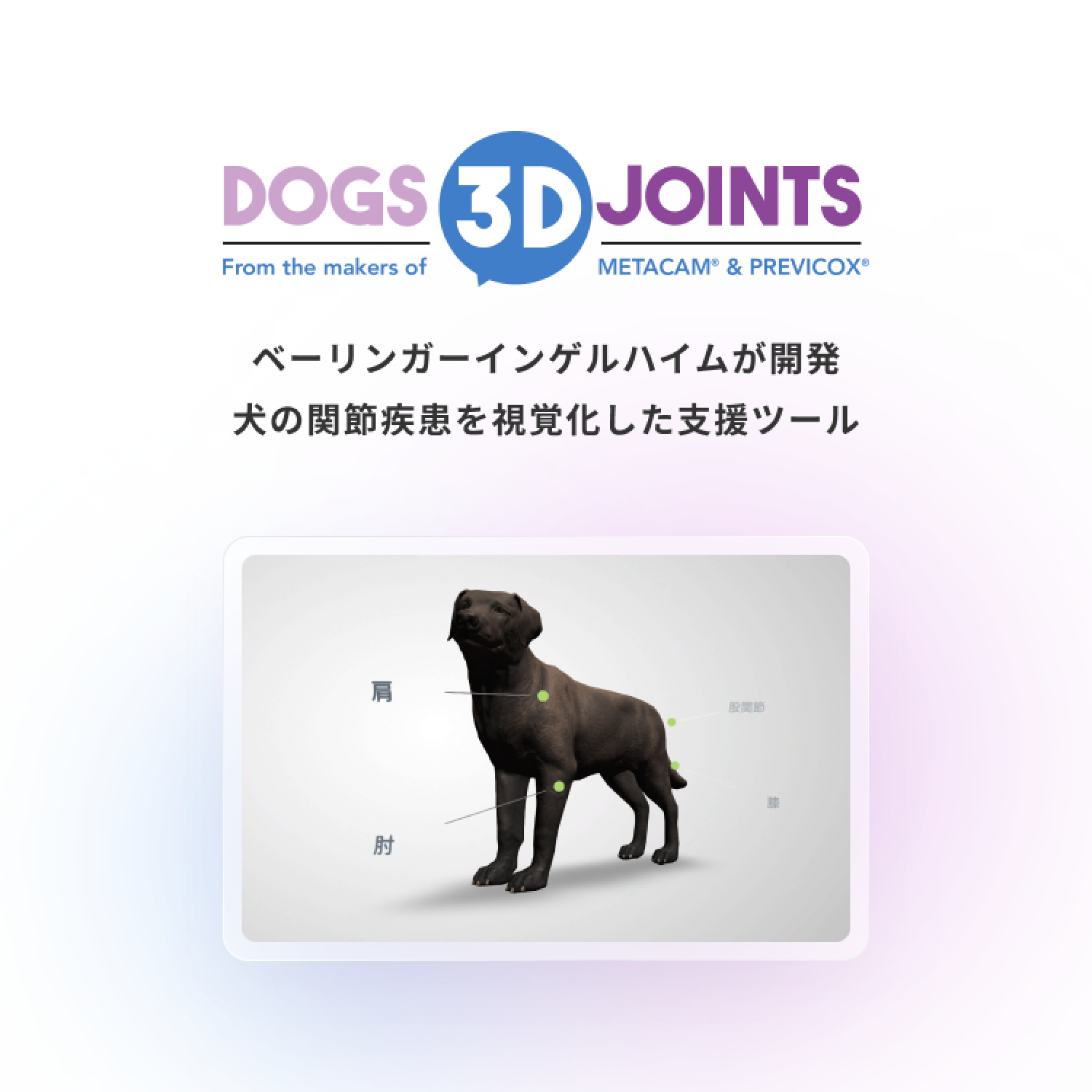 DOGS 3D JOINTS ベイリンガーインゲルハイムが開発 犬の関節疾患を視覚化した支援ツール