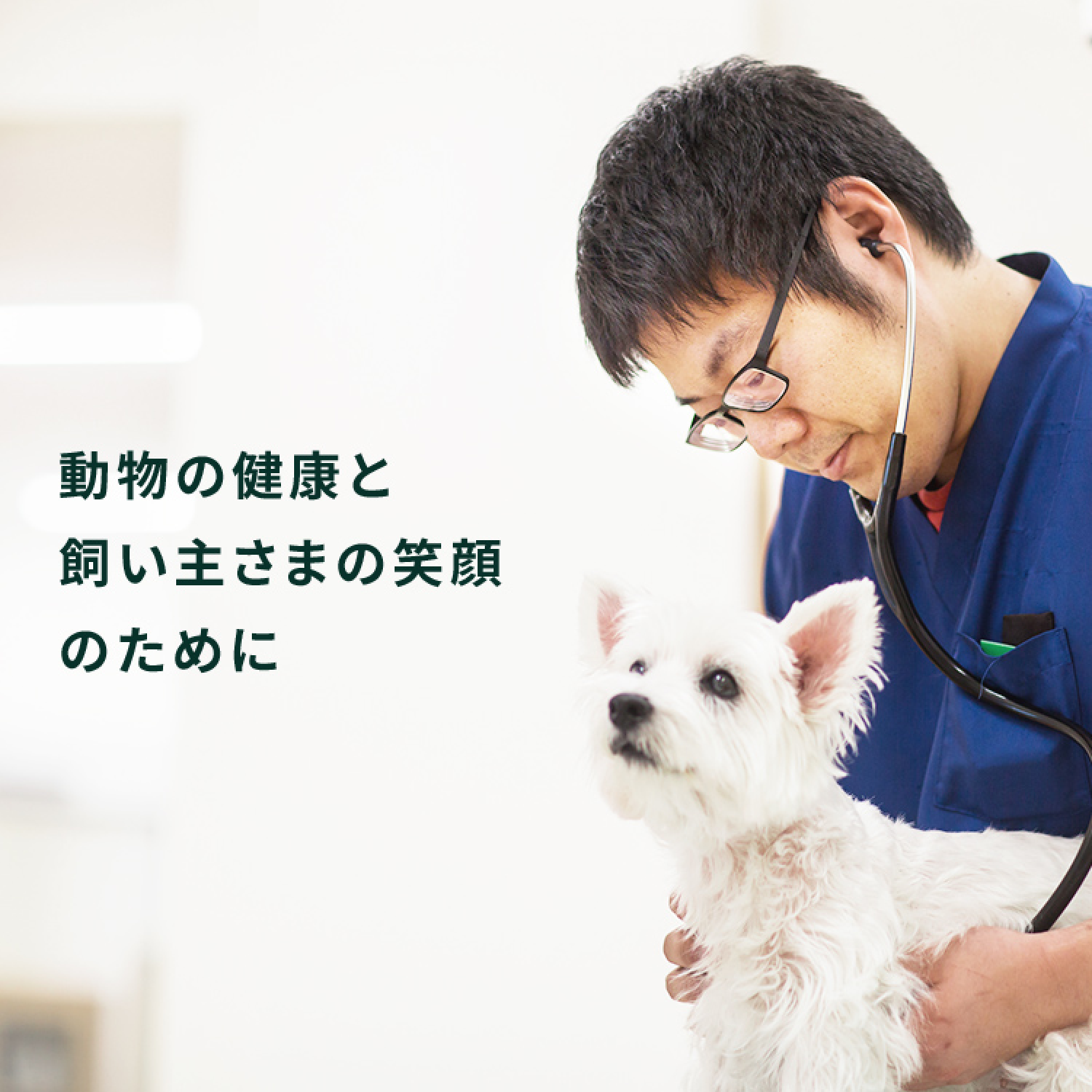 動物の健康と飼い主さまの笑顔のために