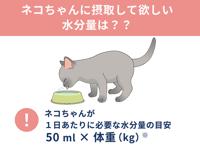 ネコちゃんの水分摂取、どうしてますか?