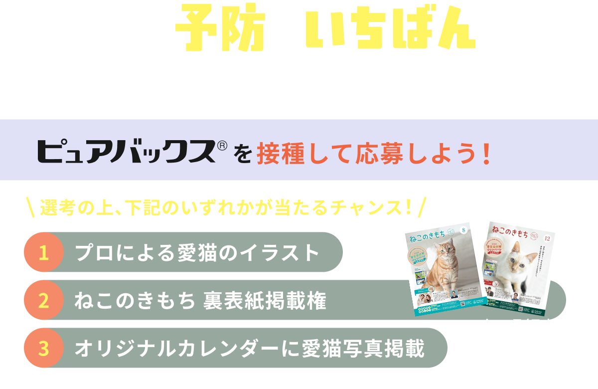 予防がいちばんキャンペーン ピュアバックス®を接種して応募しよう！ 選考の上、下記のいずれかが当たるチャンス！ 1 プロによる愛猫のイラスト 2 ねこのきもち 裏表紙掲載権 3 オリジナルカレンダーに愛猫写真掲載 ※企画は予告なく変更になる場合があります。2026年12月 ※画像はイメージです