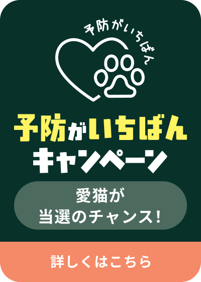 予防がいちばんキャンペーン 愛猫が当選のチャンス！詳しくはこちら