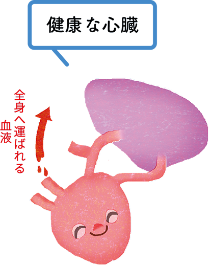 健康な心臓