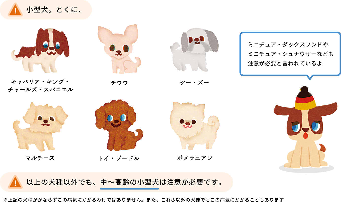 特に注意が必要なワンちゃん