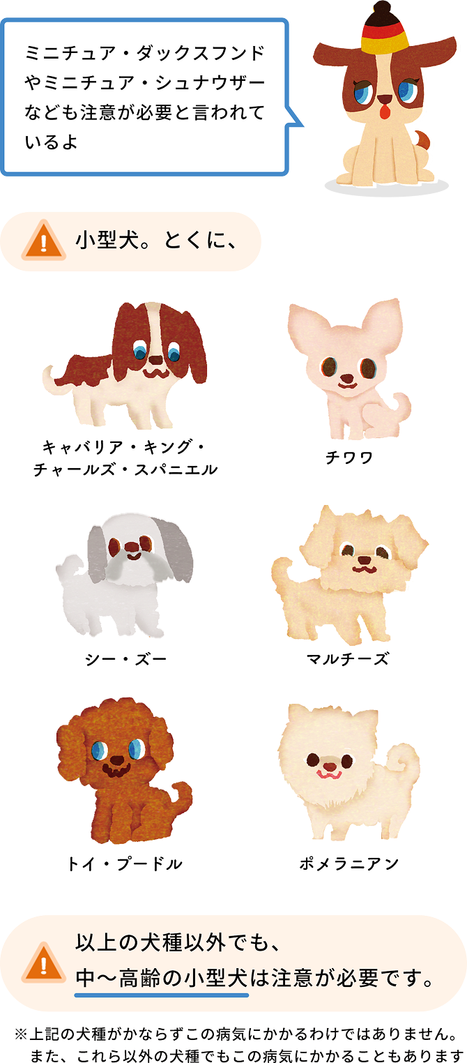 特に注意が必要なワンちゃん