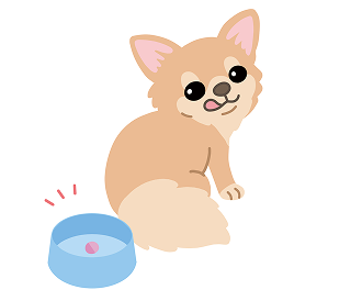 お肉に入れても