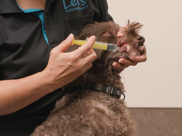 ③むせたり薬が口からあふれ出たりしないように、ゆっくりと少しずつ薬を口に入れていきます。