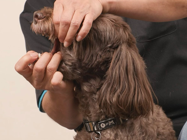 ②次に鼻を上に向けるようにして、口を開けます。