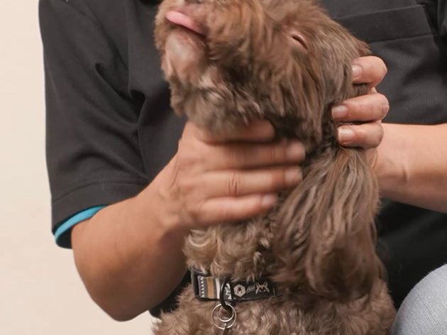 ④口を押さえたまま軽く喉をさすって、薬を飲み込むよう促します。