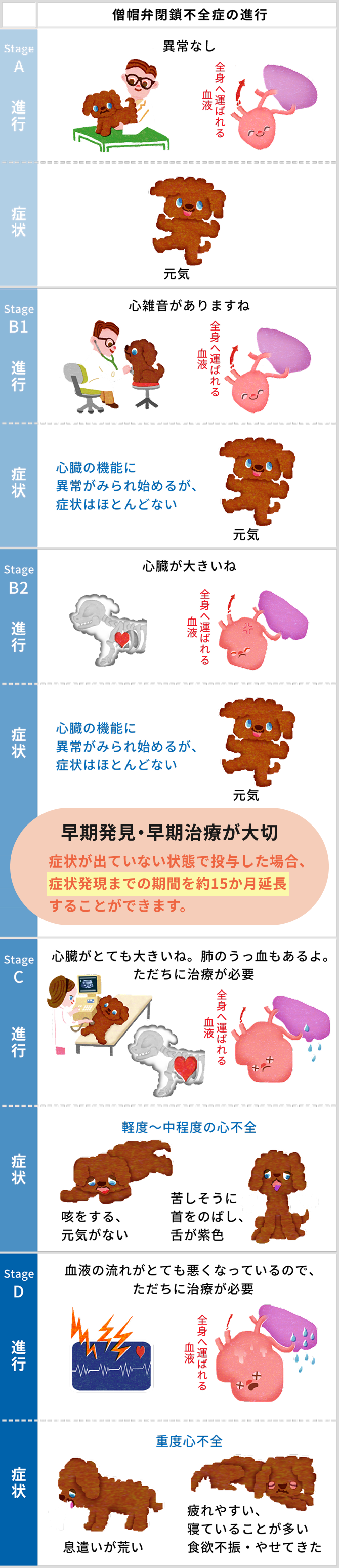 僧帽弁閉鎖不全症の進行