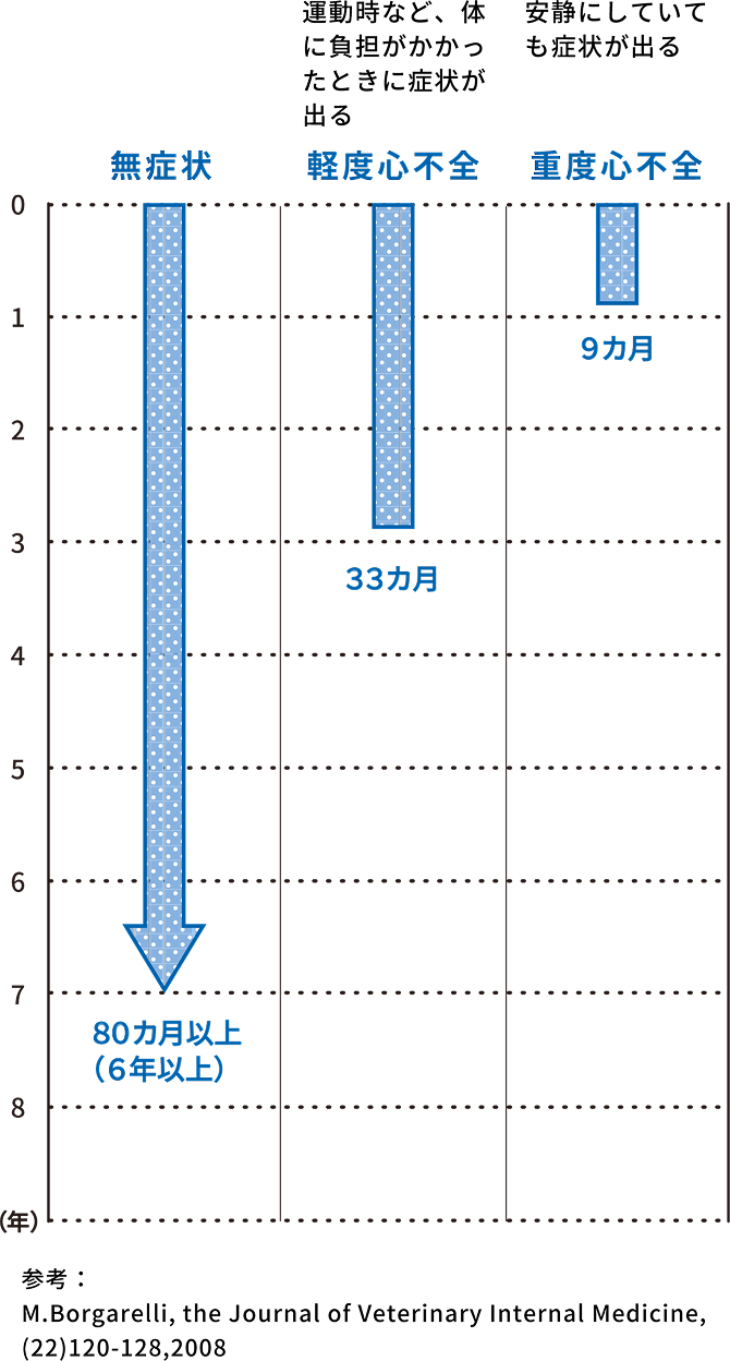 犬の僧帽弁閉鎖不全症の重症度と、死亡してしまうまでの期間