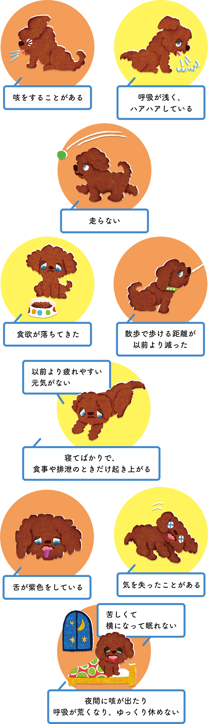 ワンちゃんの心臓病のサイン