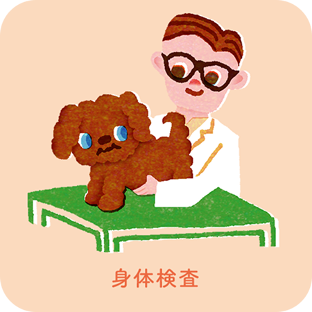 身体検査