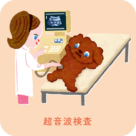 超音波検査