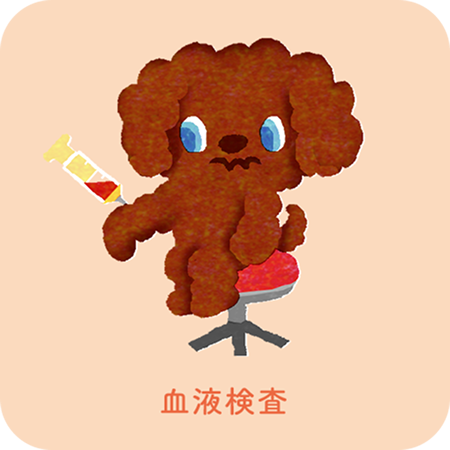 血液検査
