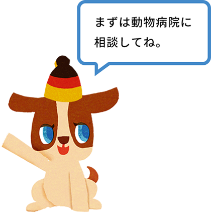 まずは動物病院に相談してね。