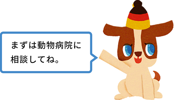 まずは動物病院に相談してね。