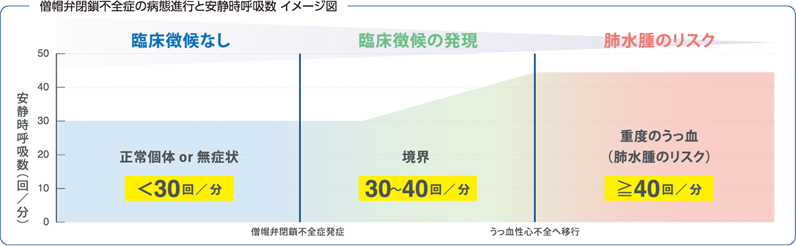 僧帽弁閉鎖不全症の病態進行と安静時呼吸数イメージ図