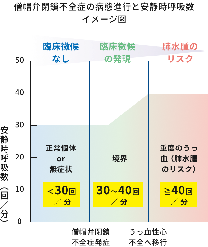 僧帽弁閉鎖不全症の病態進行と安静時呼吸数イメージ図