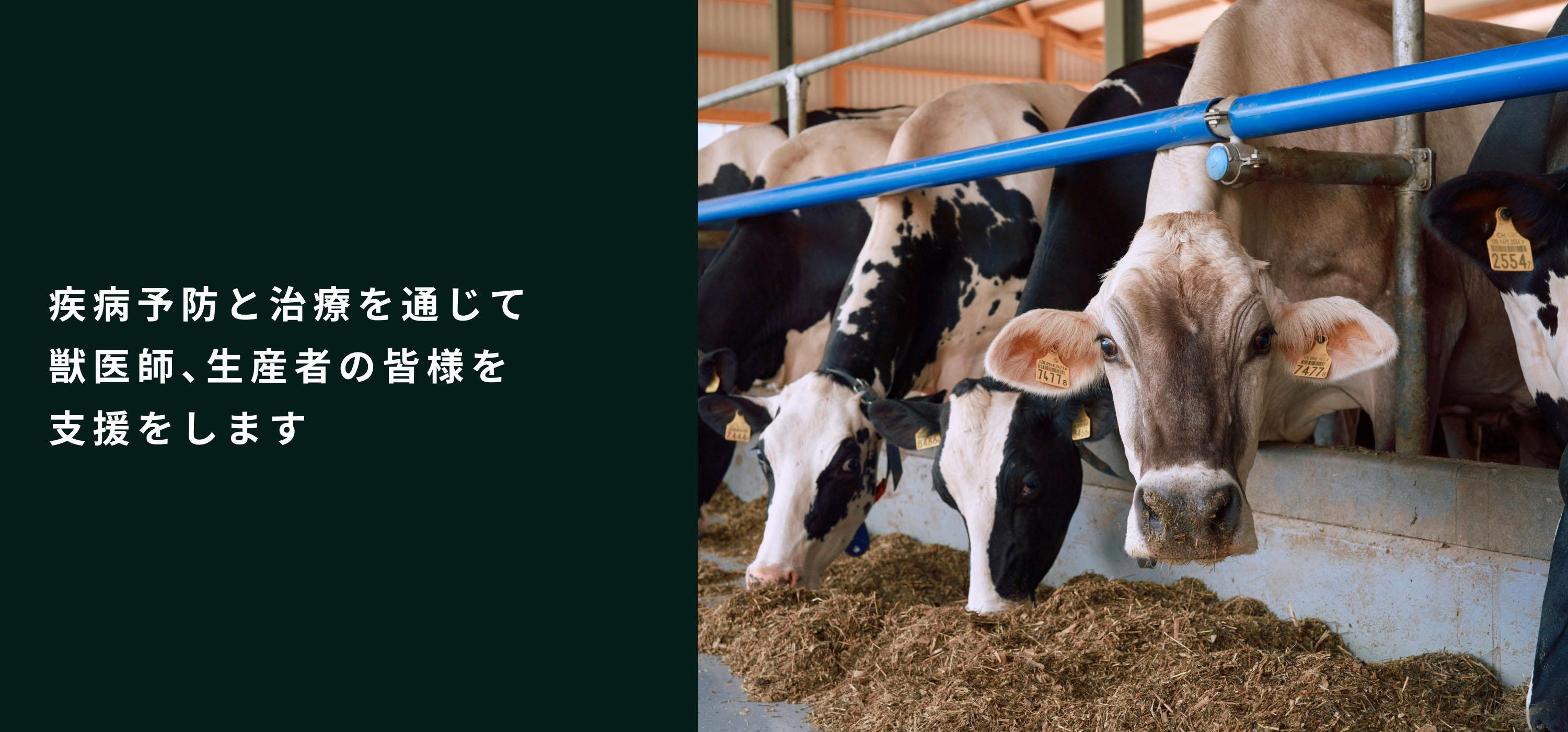 疾病予防と治療を通じて獣医師、生産者の皆様を支援します