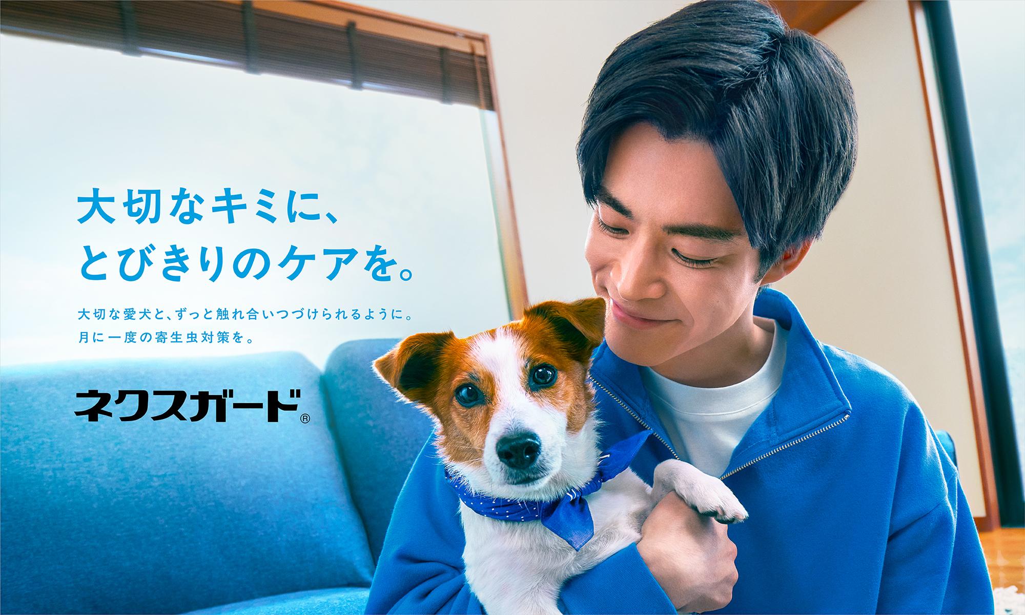 ネクスガード®