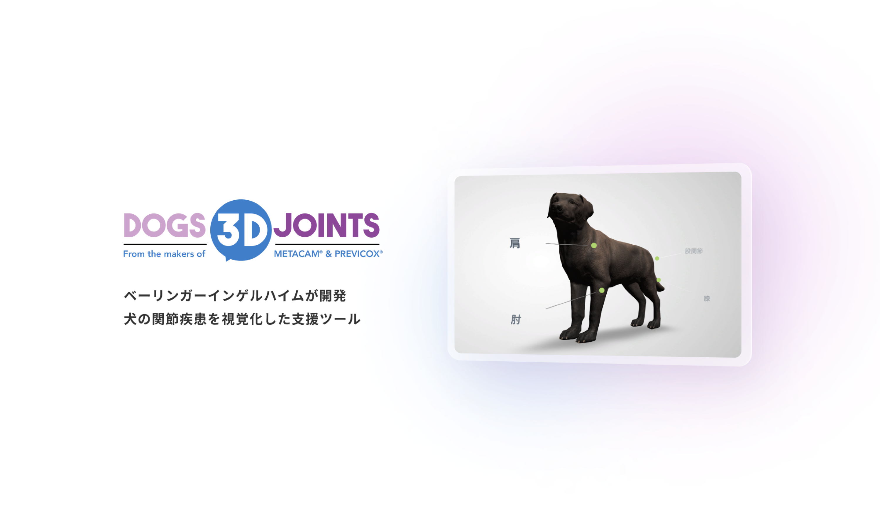 DOGS 3D JOINTS ベイリンガーインゲルハイムが開発 犬の関節疾患を視覚化した支援ツール