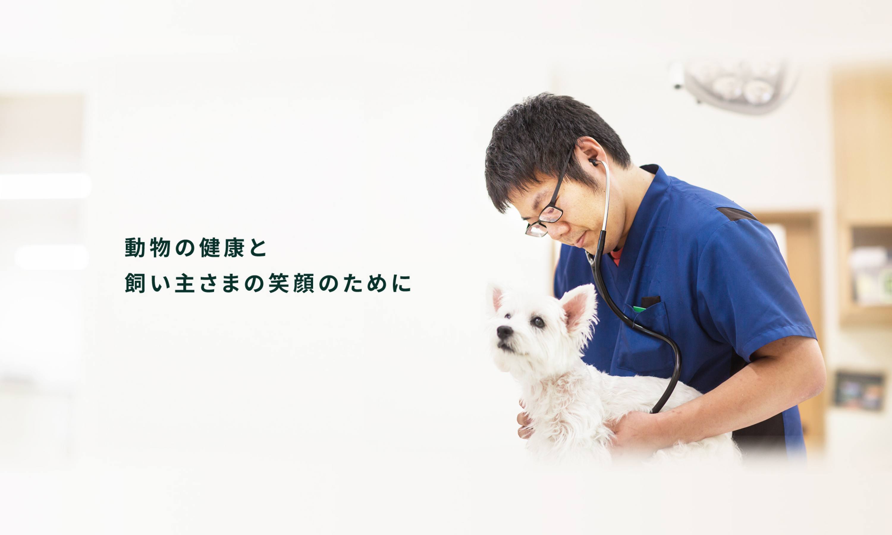 動物の健康と飼い主さまの笑顔のために