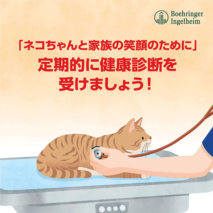 猫健康診断推奨 LINEバナー