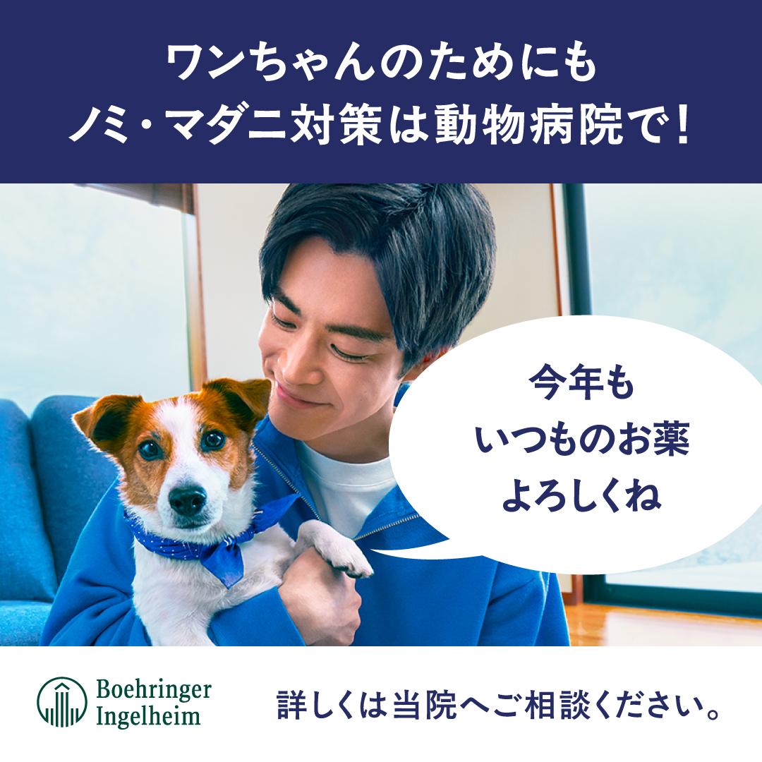 犬寄生虫対策推奨LINEバナー１