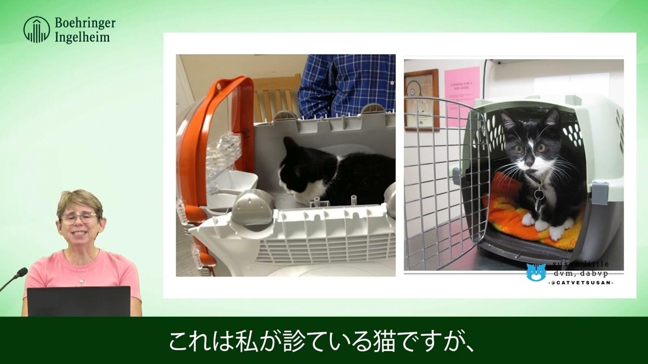 画像:動画サムネイル