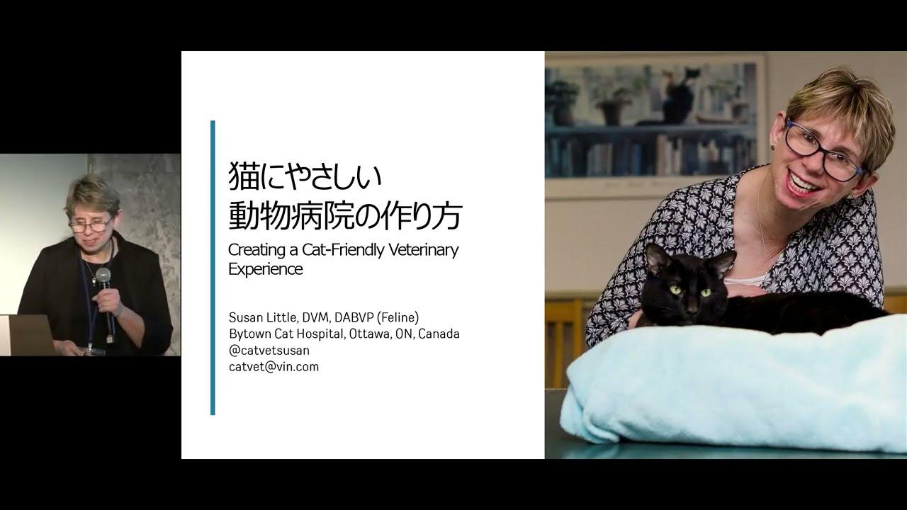 画像:動画サムネイル