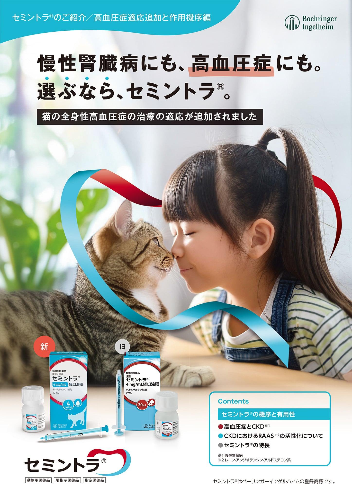 画像:高血圧症適応追加製品パンフレット