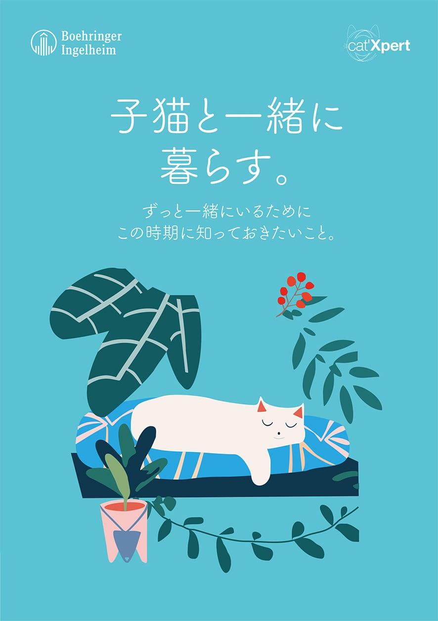 cat'Xpert_子猫の予防冊子