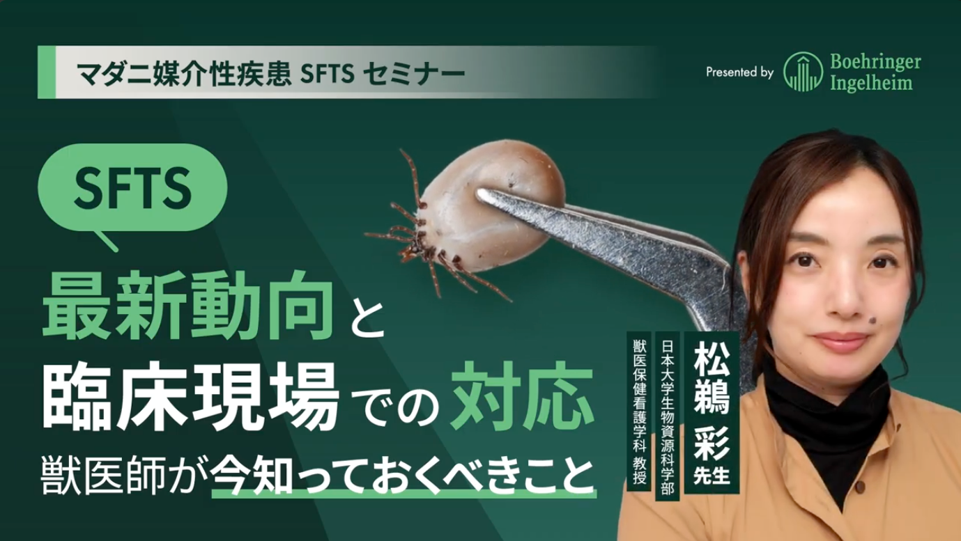 動画のサムネイル画像