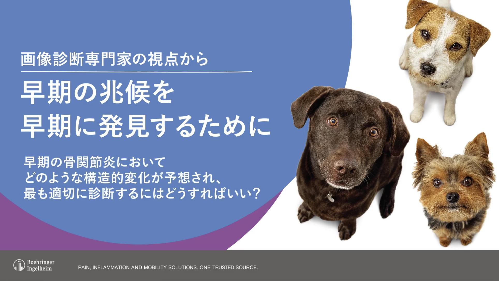 骨関節炎の初期における画像診断の重要性