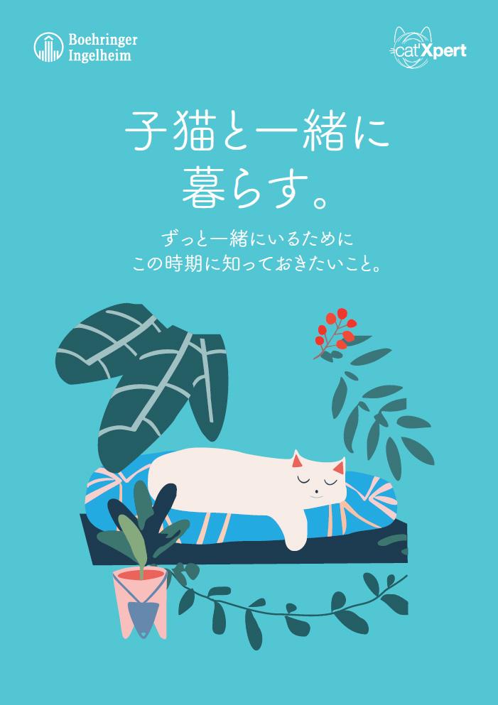 画像:サムネイル