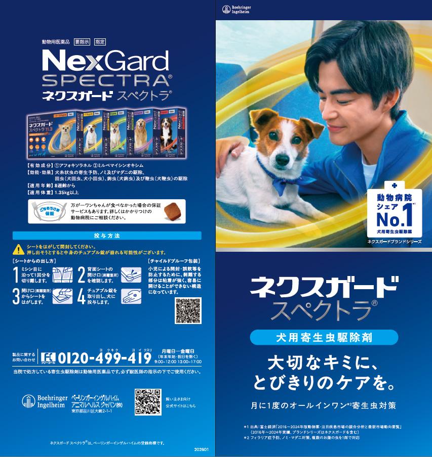 画像:サムネイル