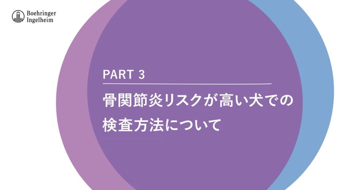 Part3：骨関節炎リスクが高い犬での検査方法について