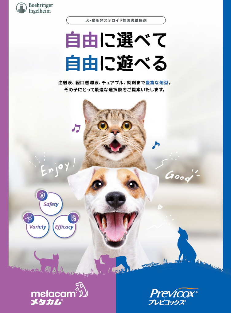 NSAIDsパンフレット