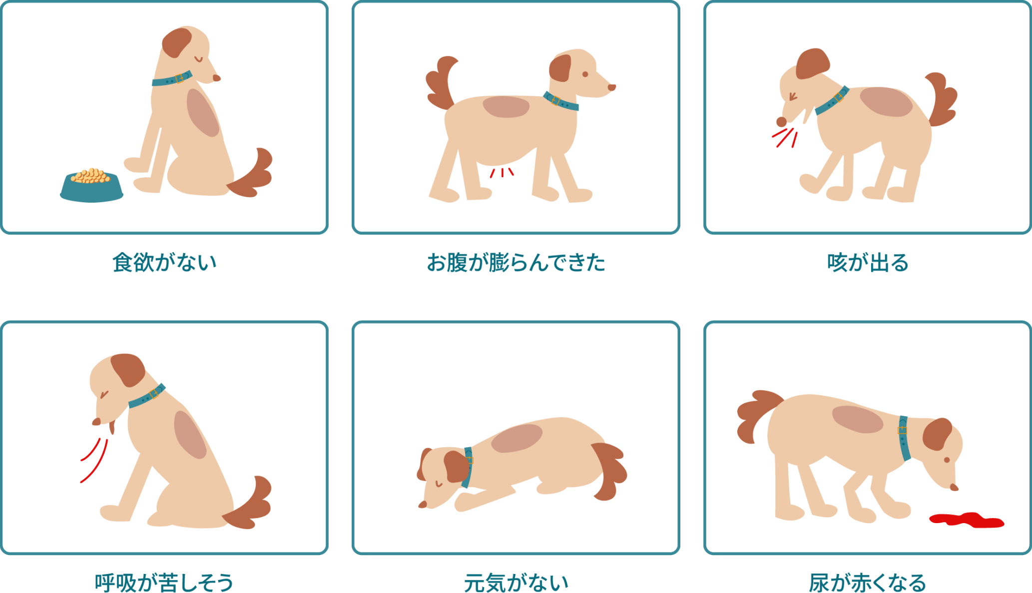 ワンちゃんの症状＿犬猫のフィラリア症