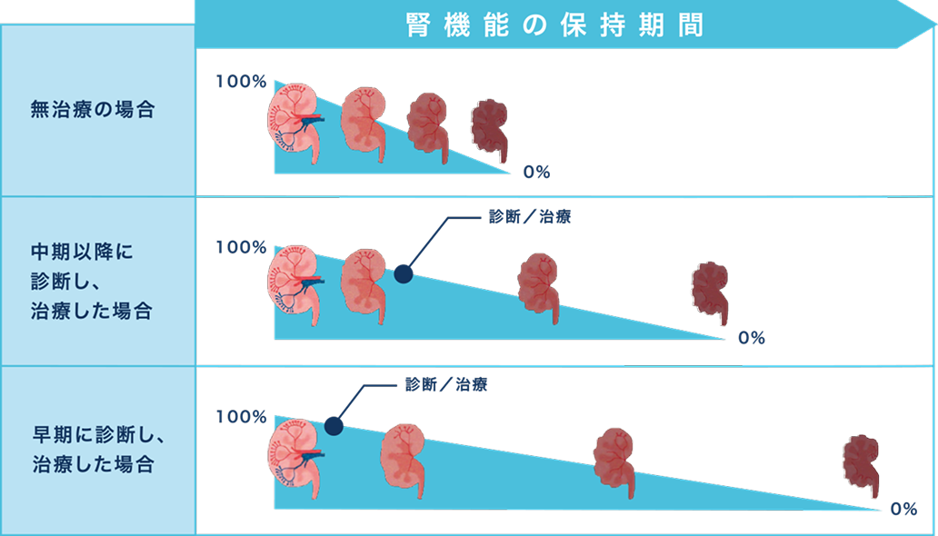腎機能の保持期間＿猫の慢性腎臓病 