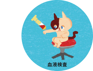 ⾎液検査＿猫の慢性腎臓病 