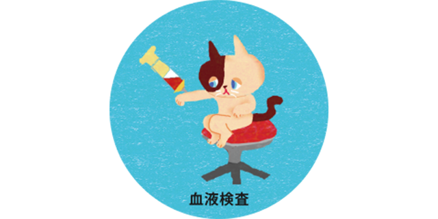 ⾎液検査＿猫の慢性腎臓病 