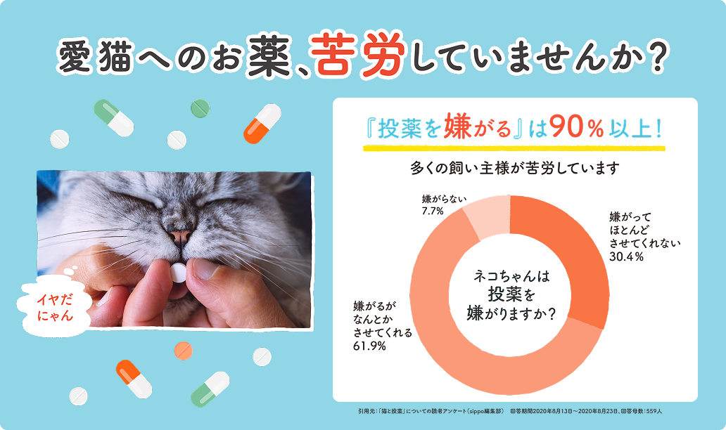 愛猫へのお薬、苦労していませんか？＿猫の慢性腎臓病・高血圧