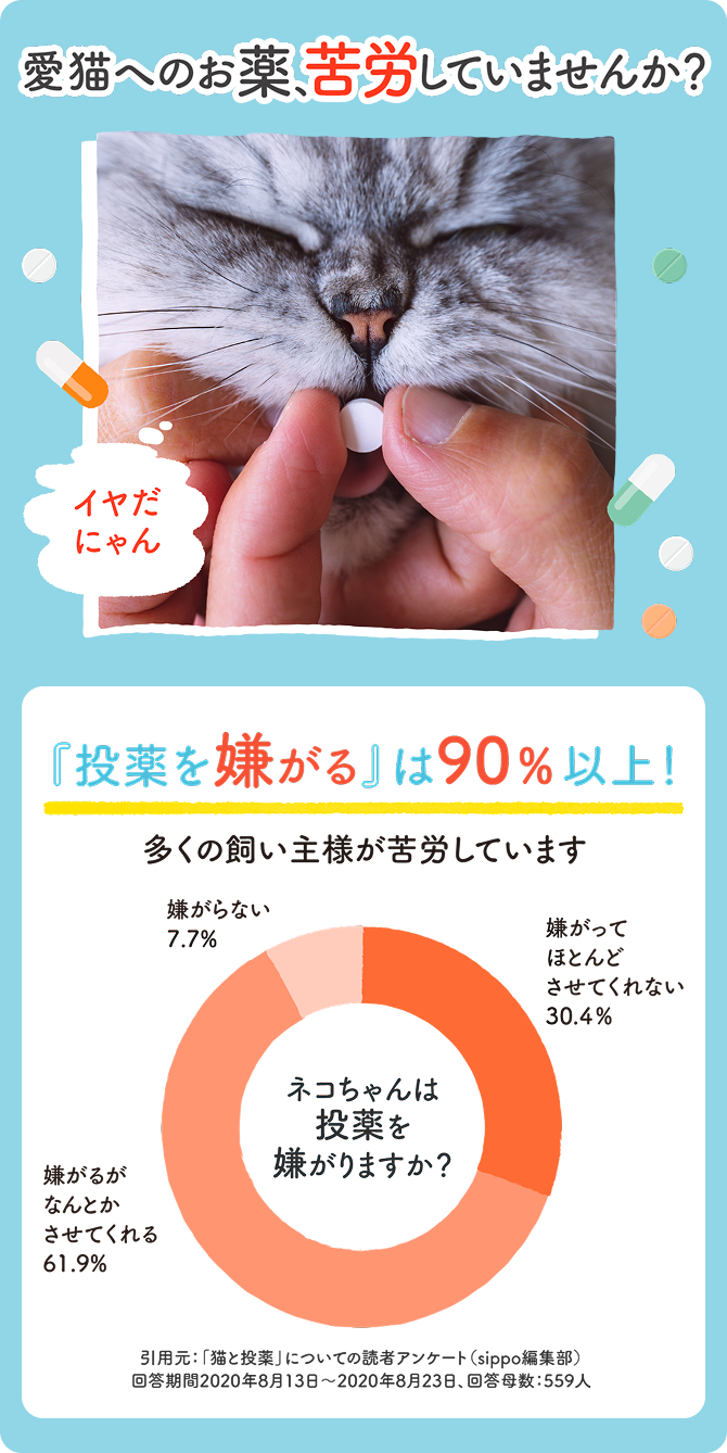 愛猫へのお薬、苦労していませんか？＿猫の慢性腎臓病・高血圧